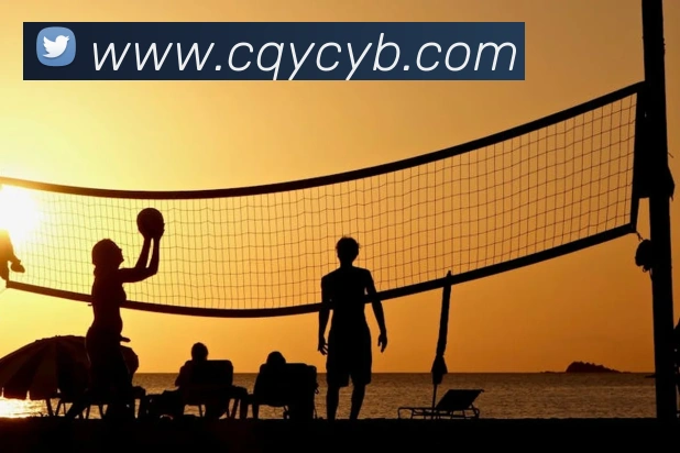 奖项证书